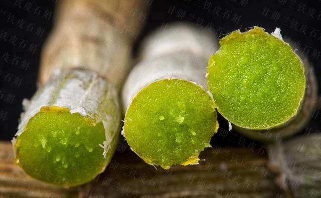 石斛帮“第一夫人”宋美龄解决便秘的