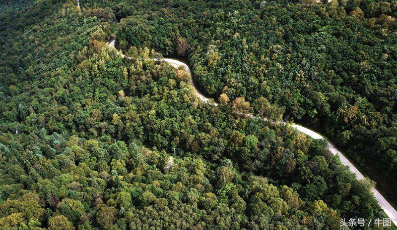 戚振林漫步青岛八大关,戚振林乌苏