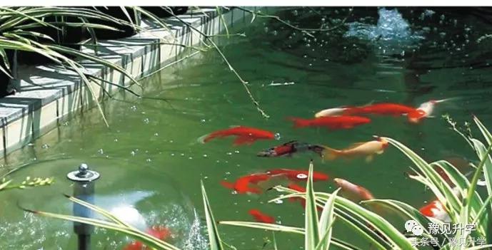 我们要给孩子诗和远方的田野，郑州名校系列：郑州市第四十四中学