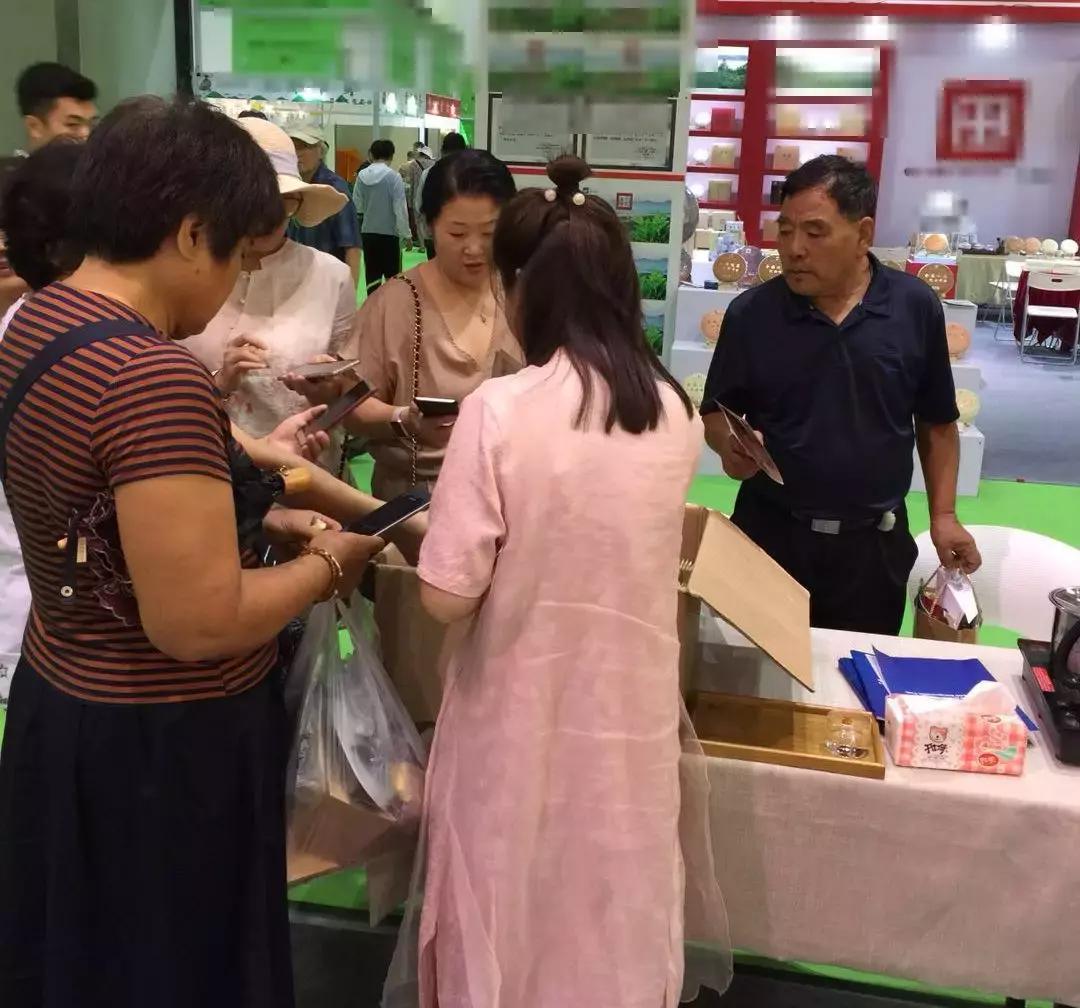 两岛联动，圆满收官！大益金柑普持续火热，广受好评