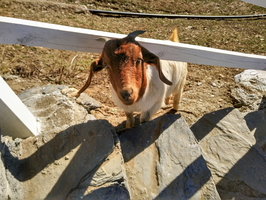 娴簯鐗у満缃戠孩姘戝,娴簯鐗у満楂樺北