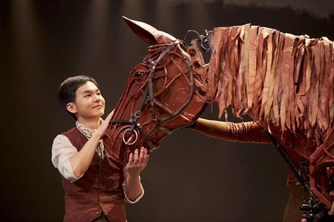 零距离感受舞台剧的魅力与震撼,零距离接触在线免费观看