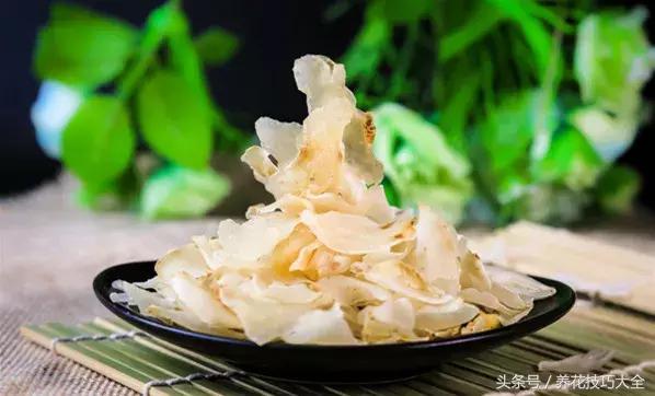 既能观赏又能药用的花草,能保健治病的植物有哪些