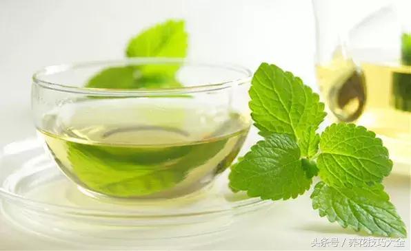 既能观赏又能药用的花草,能保健治病的植物有哪些