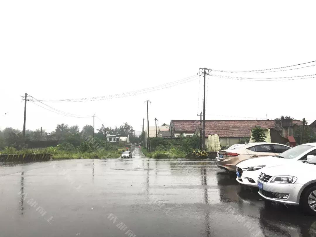 中和没商业的原因，终于被我们找到了