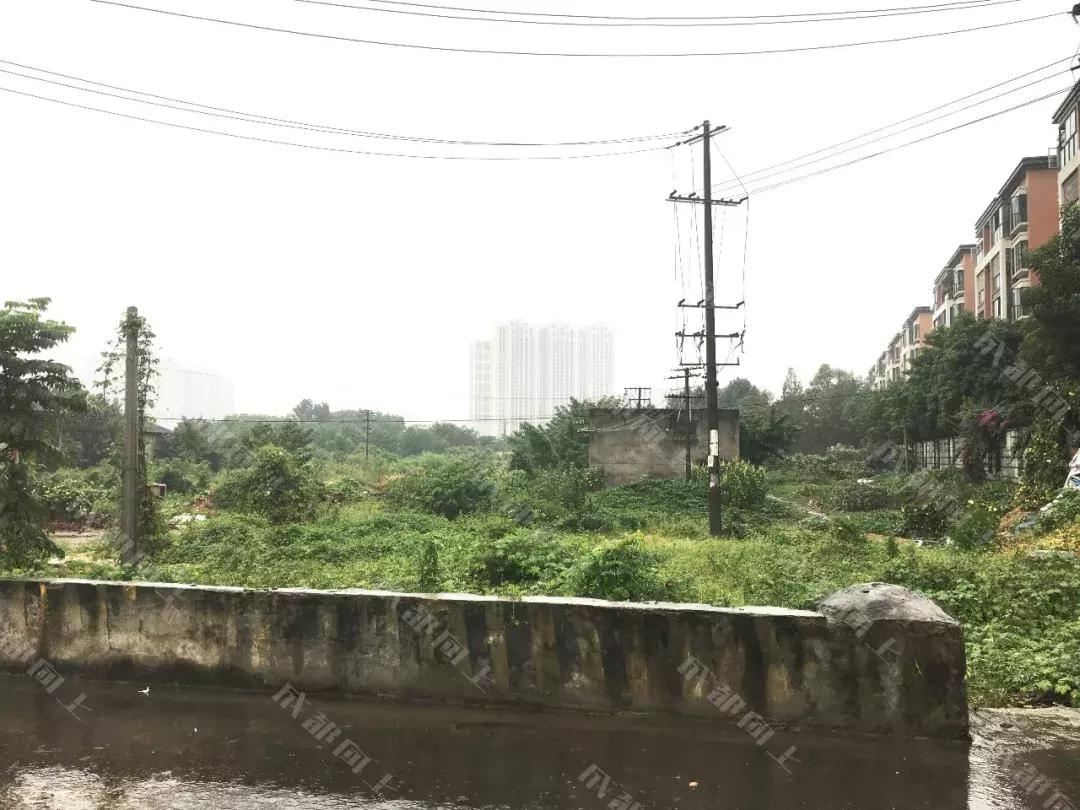 中和没商业的原因，终于被我们找到了