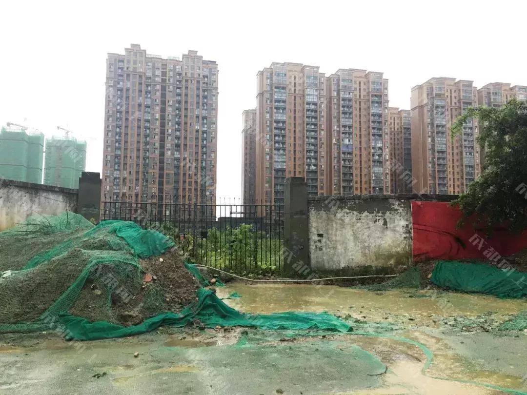 中和没商业的原因，终于被我们找到了