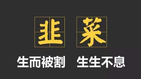 散户炒股16条原则