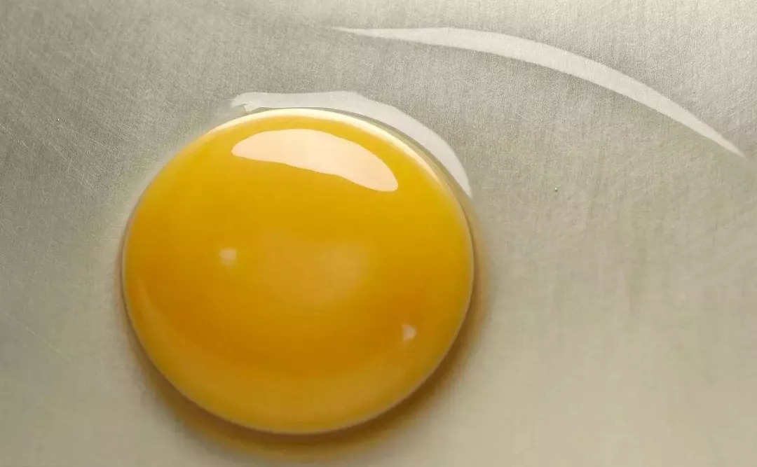 灵芝孢子粉是骗局吗违法吗,灵芝孢子粉真的抗癌吗