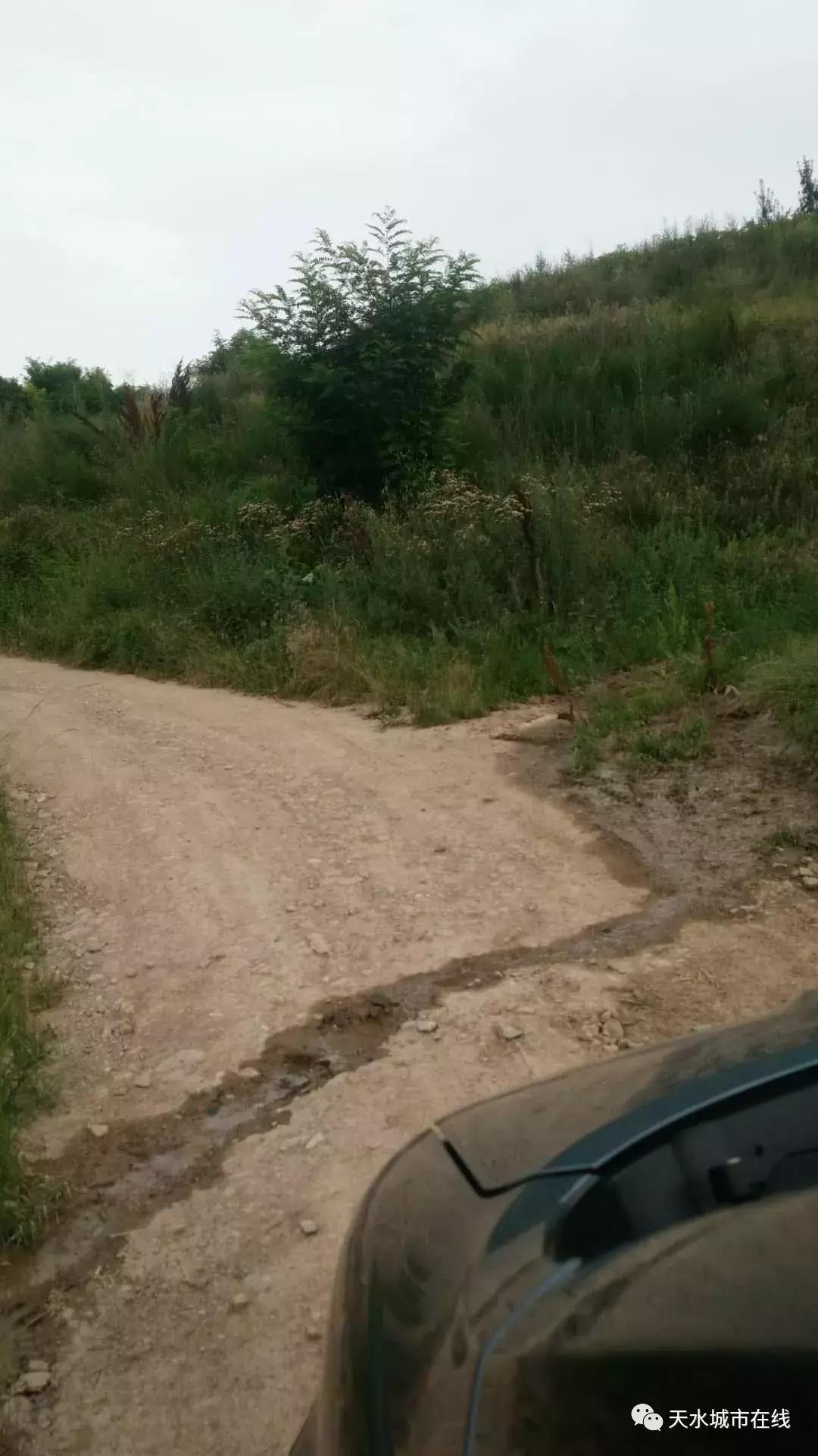 最近甘肃天水火车站发生的事,天水今天的事