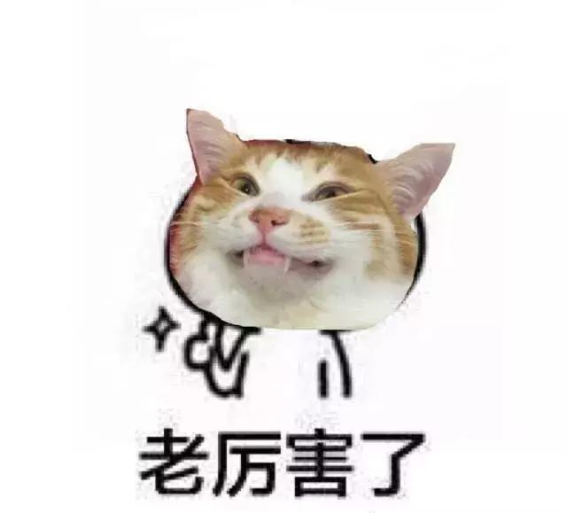 八月的底妆好物分享,五月好物分享爱用护肤合集