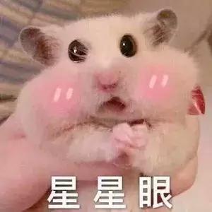 八月的底妆好物分享,五月好物分享爱用护肤合集