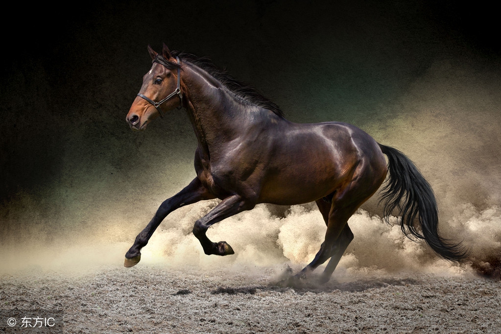 波浪理论十大最佳选股公式,最精辟的短线选股公式