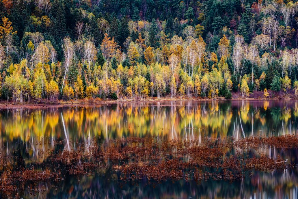 这些绝美小黄片，已经陆续在全国上线，找个时间去扫黄吧