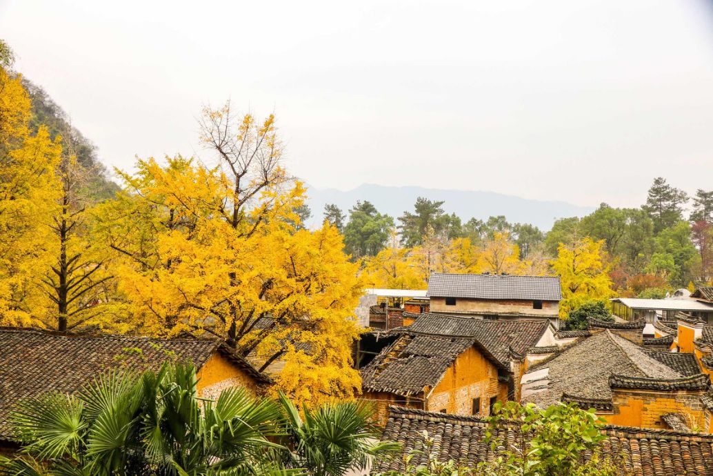 这些绝美小黄片，已经陆续在全国上线，找个时间去扫黄吧