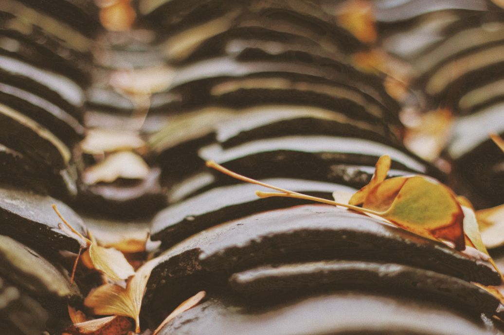 这些绝美小黄片，已经陆续在全国上线，找个时间去扫黄吧