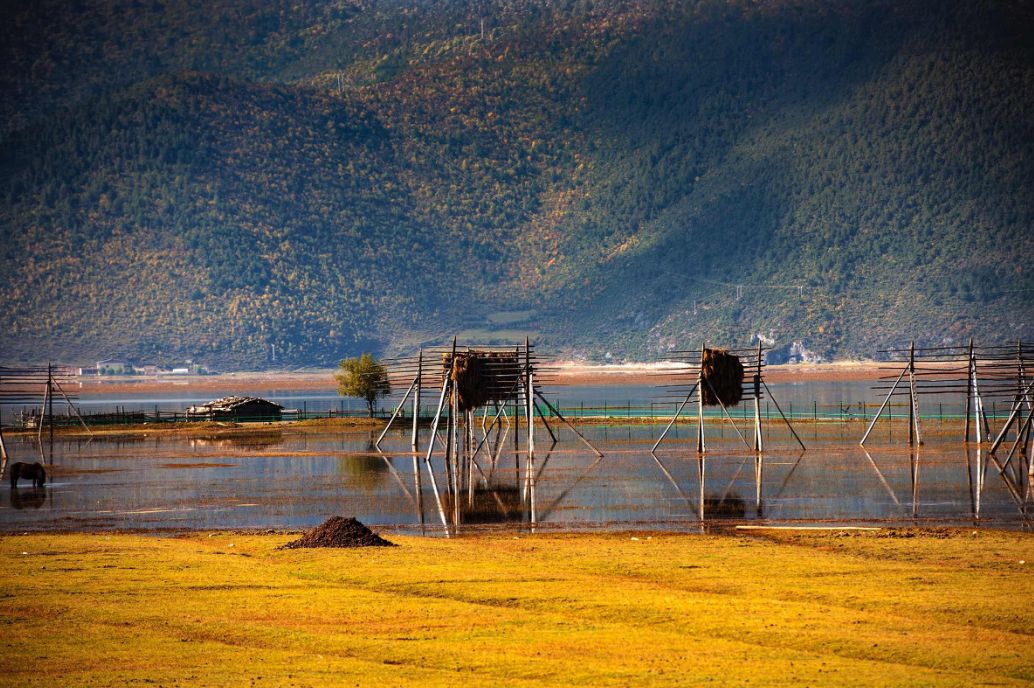 这些绝美小黄片，已经陆续在全国上线，找个时间去扫黄吧