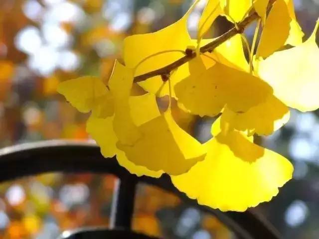 这些绝美小黄片，已经陆续在全国上线，找个时间去扫黄吧