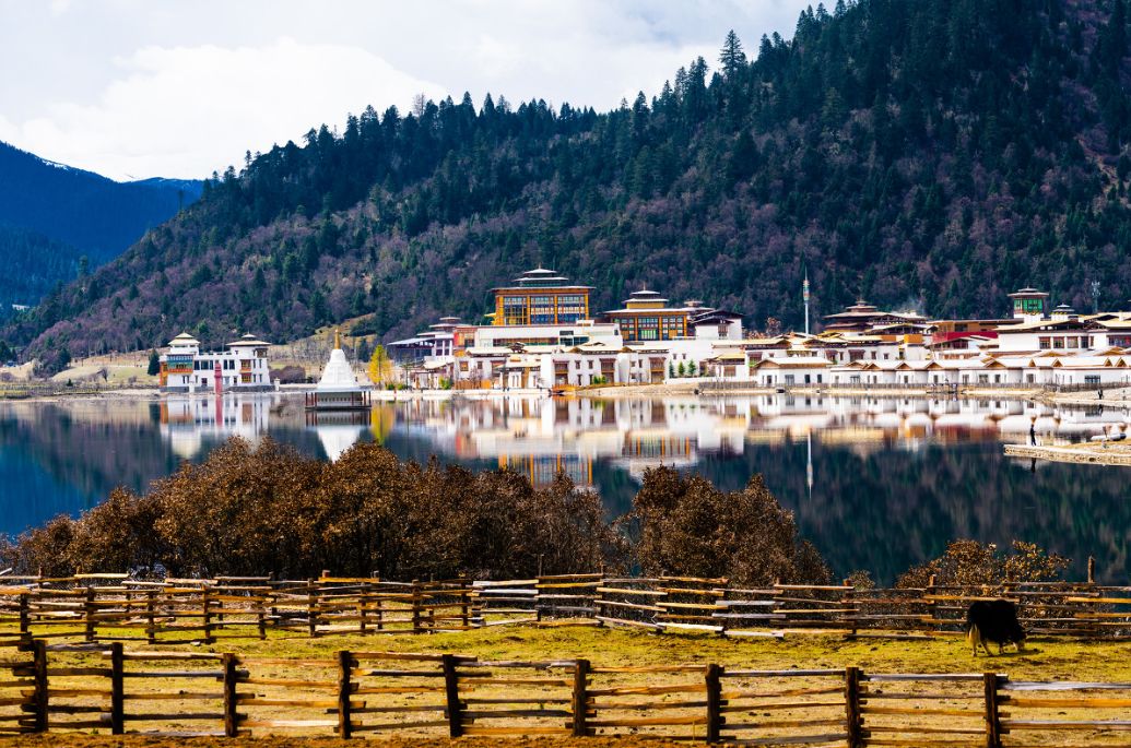 这些绝美小黄片，已经陆续在全国上线，找个时间去扫黄吧