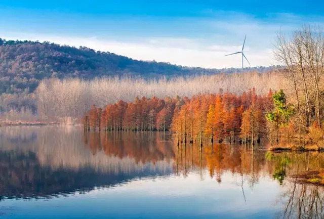 这些绝美小黄片，已经陆续在全国上线，找个时间去扫黄吧