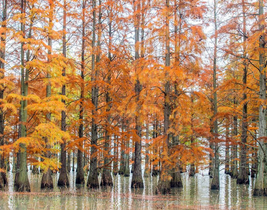 这些绝美小黄片，已经陆续在全国上线，找个时间去扫黄吧