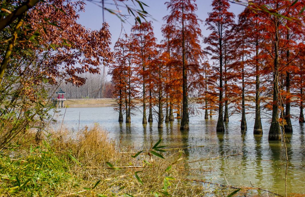 这些绝美小黄片，已经陆续在全国上线，找个时间去扫黄吧