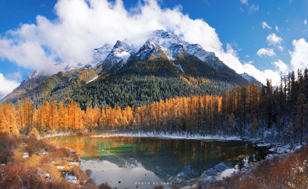 这些绝美小黄片，已经陆续在全国上线，找个时间去扫黄吧