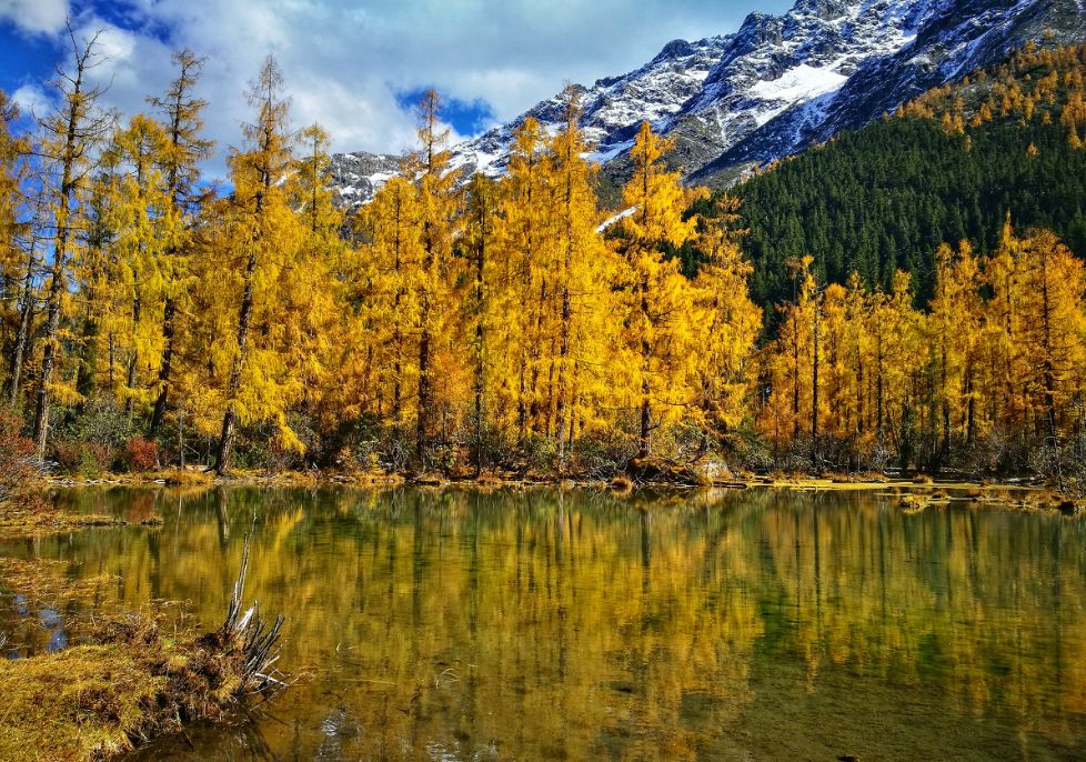 这些绝美小黄片，已经陆续在全国上线，找个时间去扫黄吧