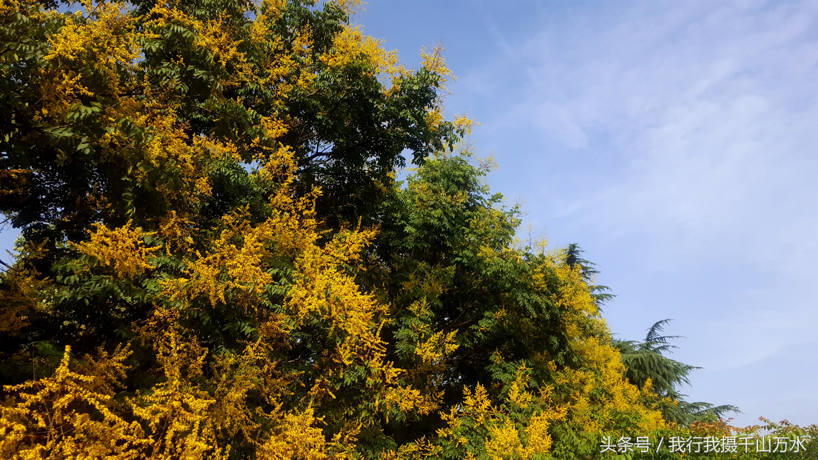 民间健身及尽享足球之乐的好场所——西安西光厂体育场