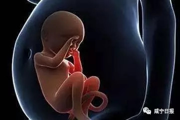 中了!申请到免费名额的她,宣布人工授精成功,圆了二胎梦!