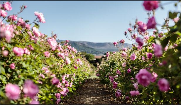 女生一定要去旅游一次,女生一辈子一定要去的18个地方