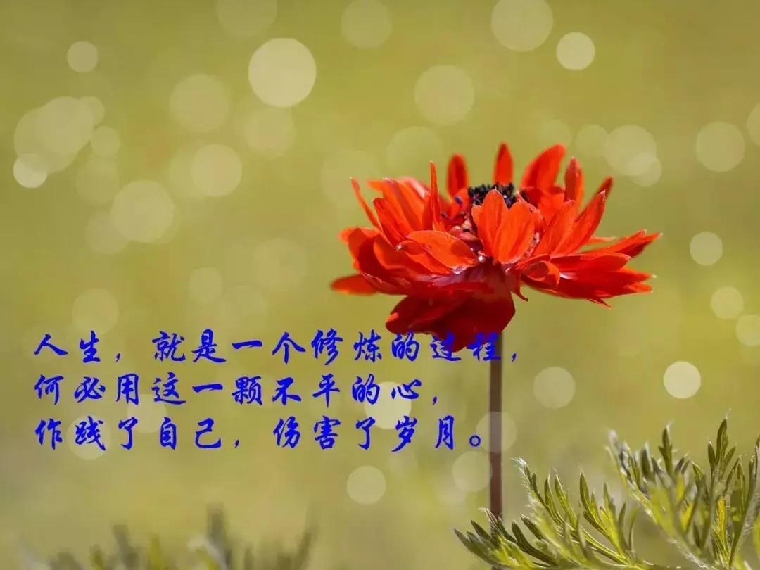 适合发朋友圈的人生感悟经典说说,适合发朋友圈的经典短句感悟人生