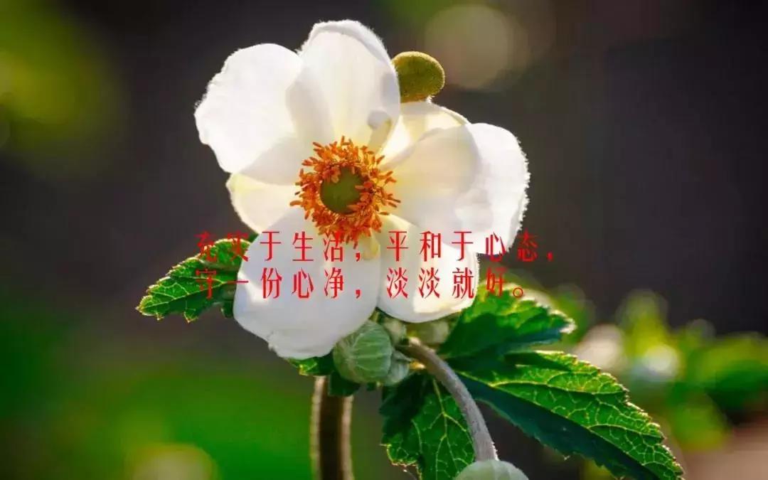 适合发朋友圈的人生感悟经典说说,适合发朋友圈的经典短句感悟人生