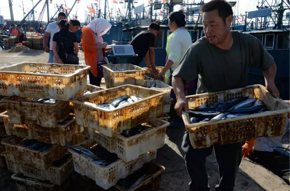 开海了!抖音上的小姐姐,来烟台吧!海鲜管够……