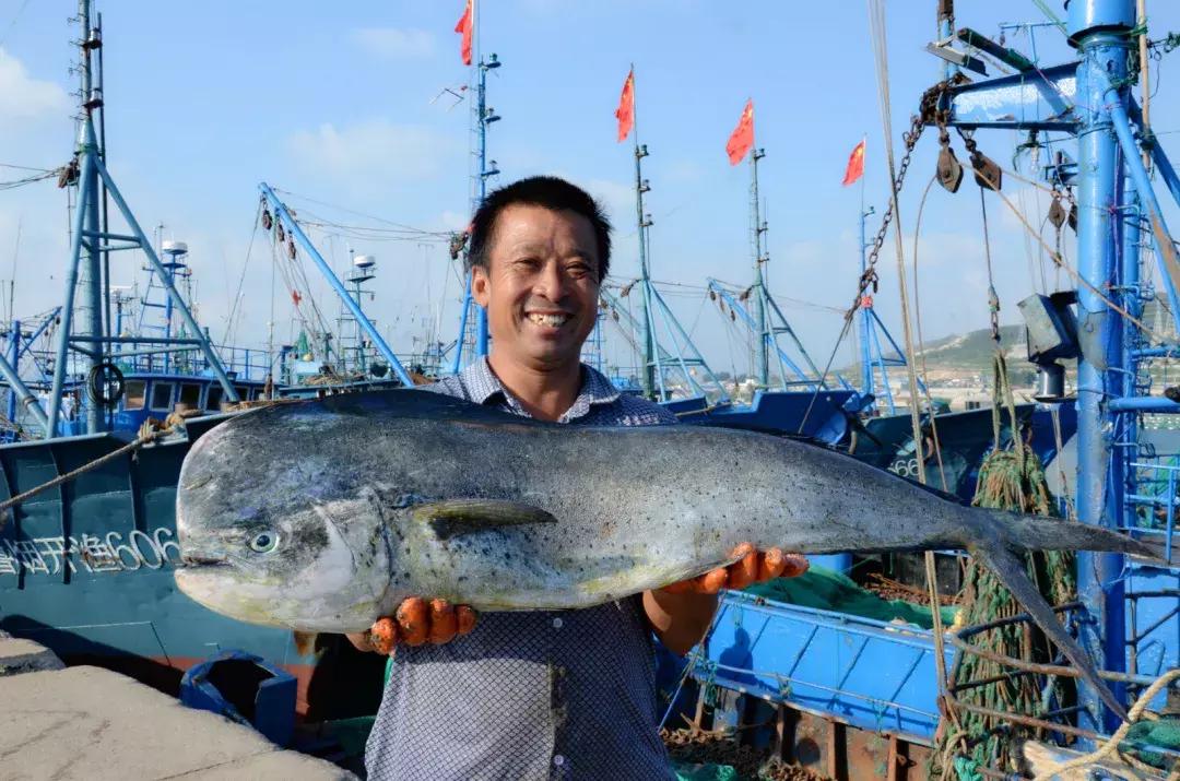 开海了!抖音上的小姐姐,来烟台吧!海鲜管够……