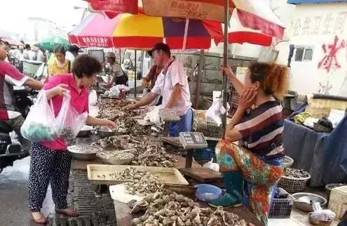 开海了!抖音上的小姐姐,来烟台吧!海鲜管够……