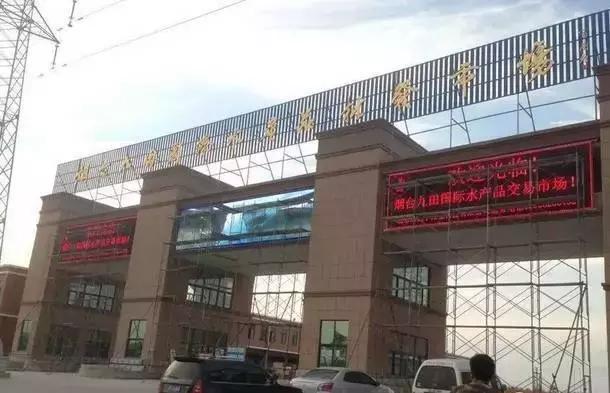 开海了!抖音上的小姐姐,来烟台吧!海鲜管够……