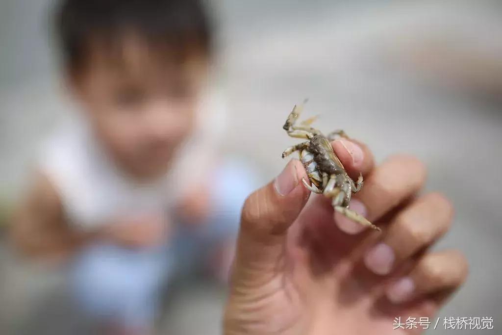 开海了!抖音上的小姐姐,来烟台吧!海鲜管够……