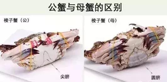 开海了!抖音上的小姐姐,来烟台吧!海鲜管够……