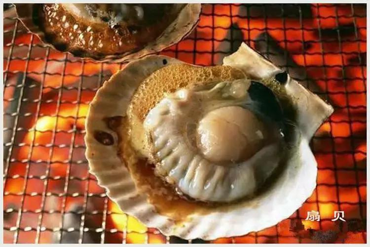 开海了!抖音上的小姐姐,来烟台吧!海鲜管够……