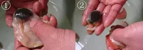 开海了!抖音上的小姐姐,来烟台吧!海鲜管够……