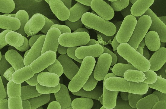 挠痒起风团,过敏性荨麻疹太刺挠了怎么办