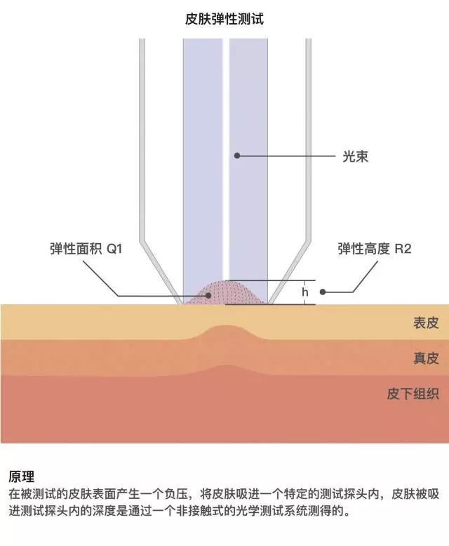 lamer眼霜和sk2,40-50眼霜测评