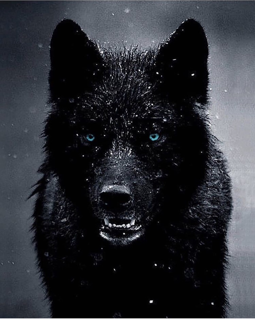 暗黑霸气古风女生专属壁纸,壁纸ins暗黑图集