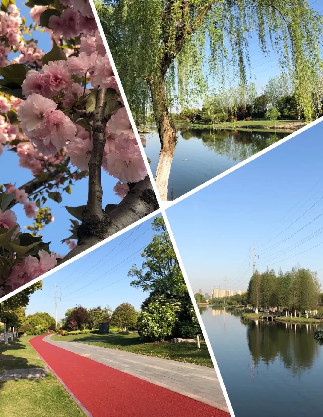 下一个浦东新区是哪里,重磅消息下浦东楼盘会暴涨吗