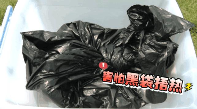 一片叶子搞定螨虫,床上的螨虫能彻底清除吗