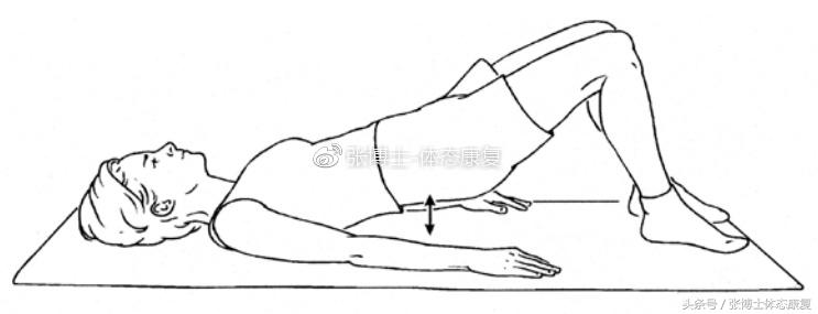 最全产后恢复体育动作,产后修复的健身动作