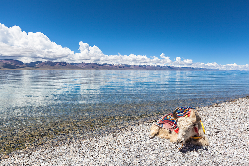 国内绝美的十六个湖泊,国内值得去的10大绝美湖泊