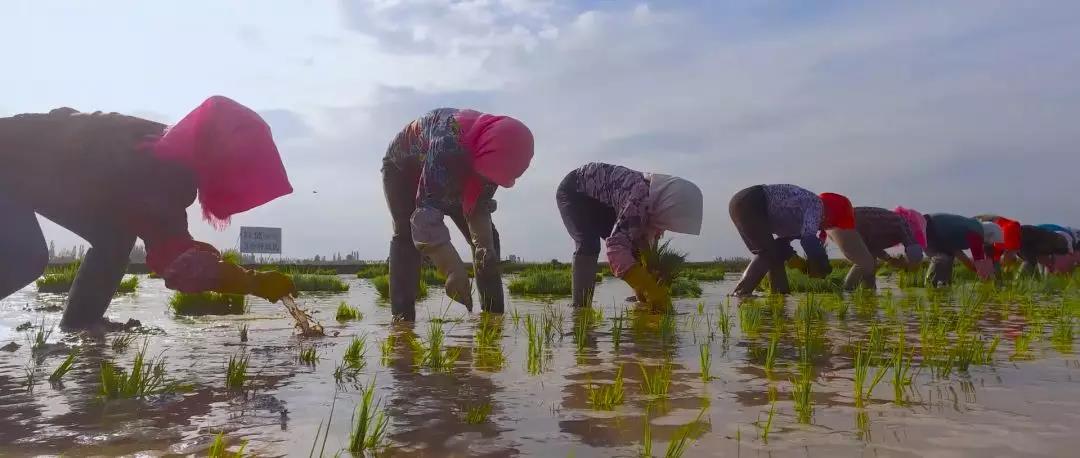 宁夏究竟是怎么样的一个地方,宁夏很贫困吗