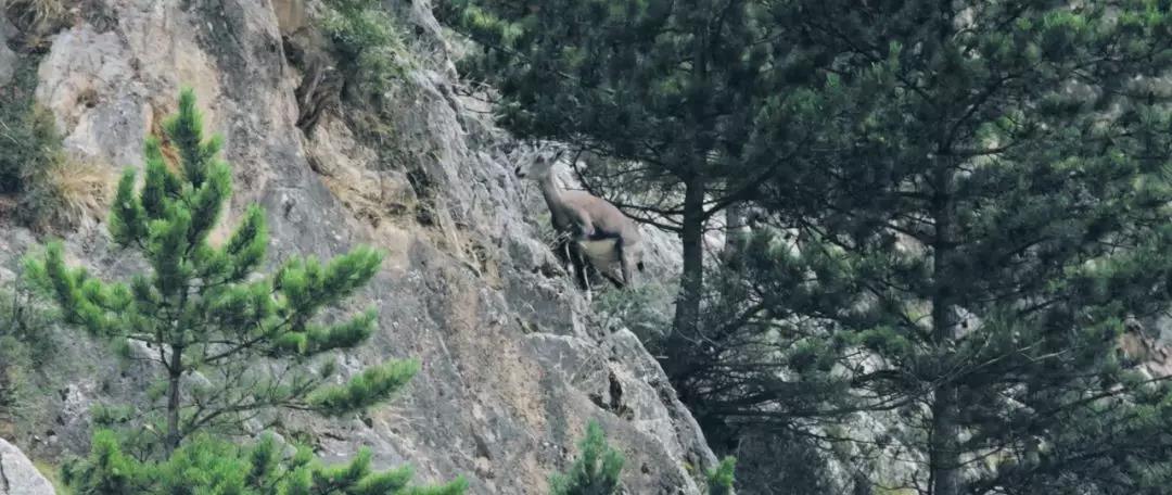 宁夏究竟是怎么样的一个地方,宁夏很贫困吗